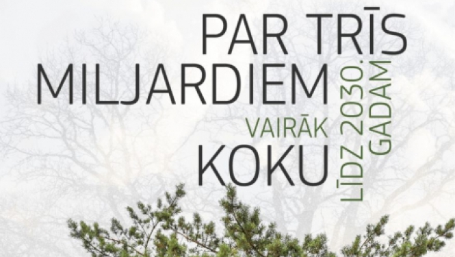 skuju koki