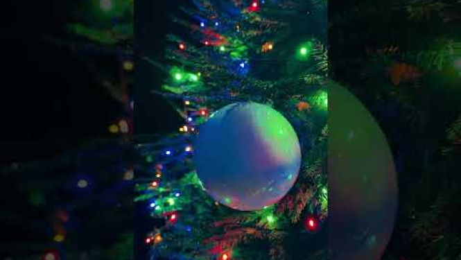 Eglītes iedegšana Zaķumuižā