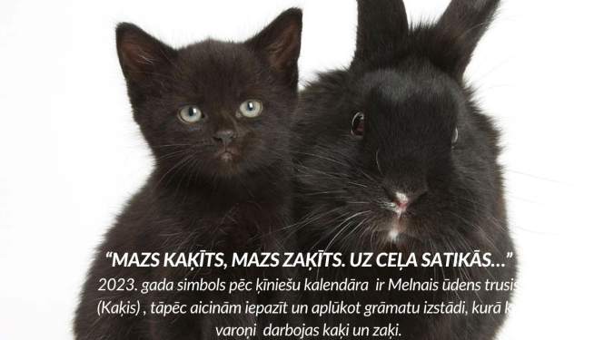 Mazs kaķīts, mazs zaķīts