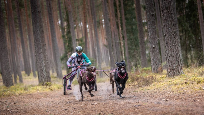 Foto: Egons Ansbergs