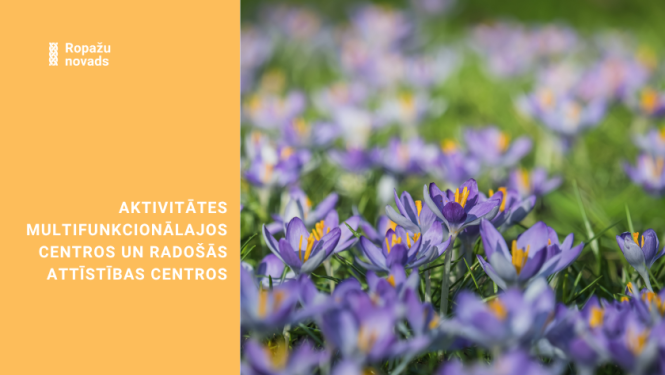Aktivitātes multifunkcionālajos centros un radošās attīstības centros. Bildē violeti krokusi zaļā zalē