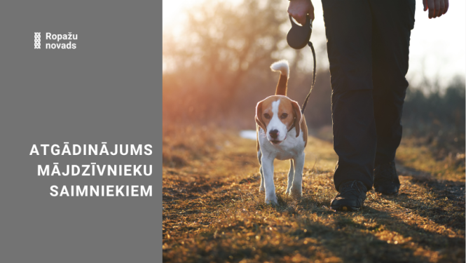 Atgādinājums suņu saimniekiem, bildē suns pie pavadas ar saimnieku