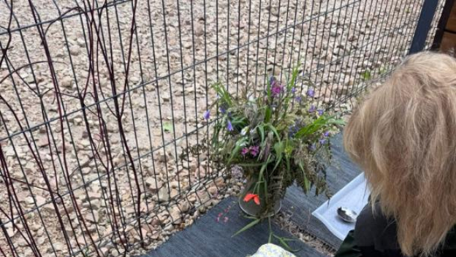 Bērnu pieskatīšanas pakalpojumi