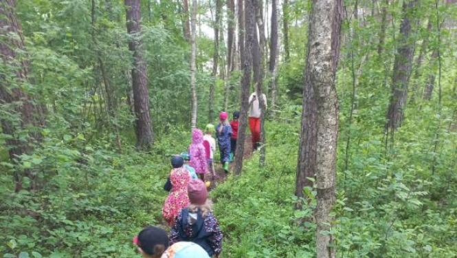 Bērnu pieskatīšanas pakalpojumi