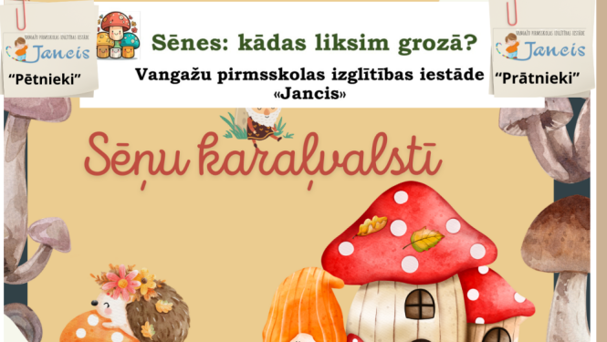 bibliotēkas aktivitātes