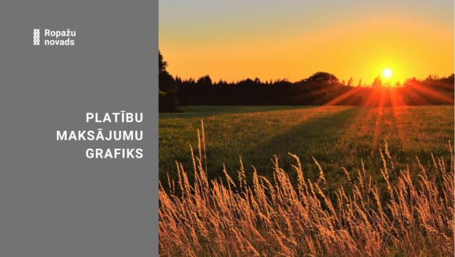 Lad platību maksajums