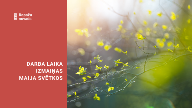 Izmaiņas darba laikā, bildē plaukst 