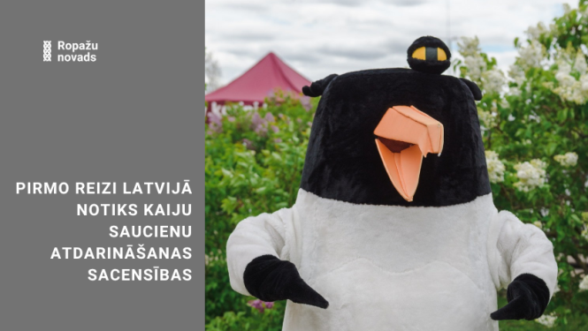 SIA "Getliņi EKO" kaiju sauciena atdarināšana