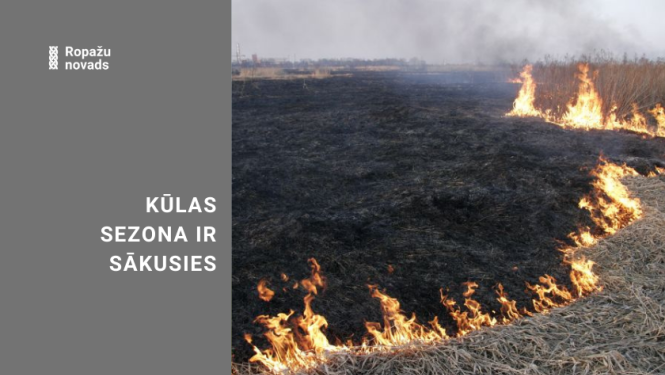 Kūlas dedzināšana