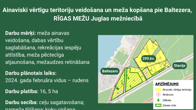 Rīgas meži
