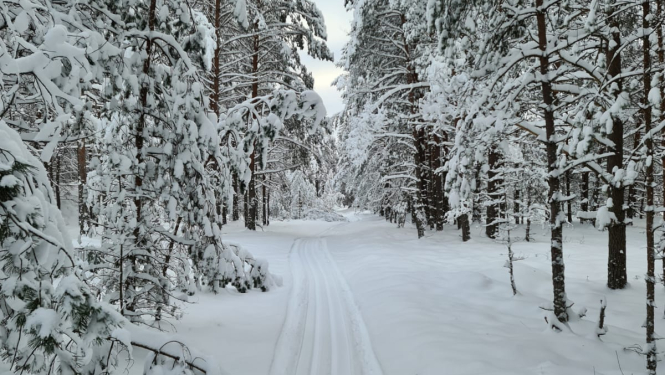 Garkalne, distanču slēpošana