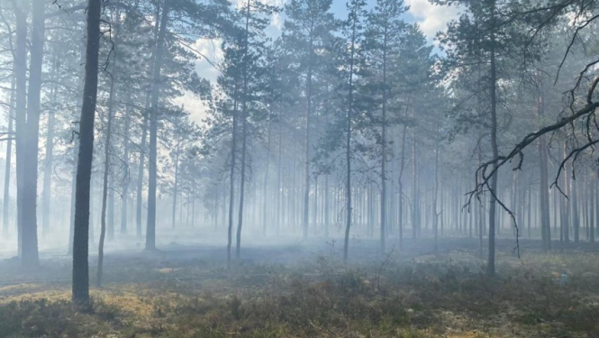 Aicinām iedzīvotājus neuzturēties mežā paaugstinātas ugunsbīstamības laikā