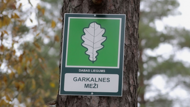 Jauni dabas aizsardzības noteikumu dabas liegumā Garkalnes meži