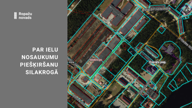 par ielu nosaukumu piešķiršanu Silakrogā