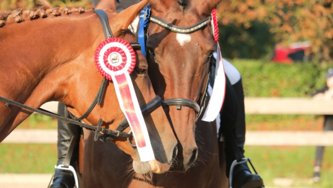Ropažniekiem veiksmīgi starti iejādē