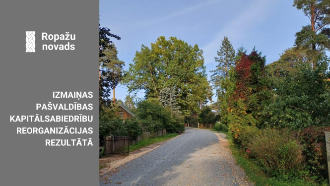 Kapitālsabiedrību reorganizācija