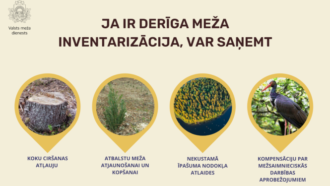 Meža inventarizācija