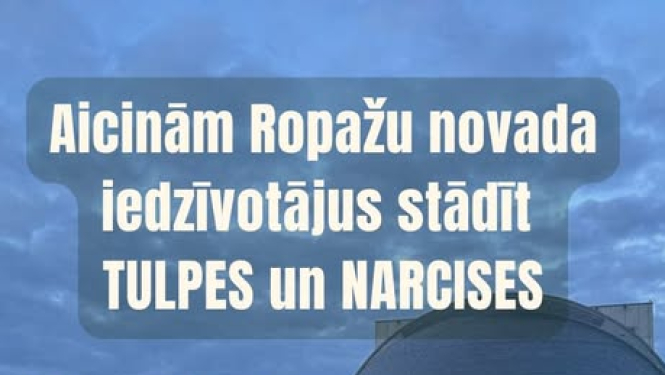 afiša par sīpolpuķēm