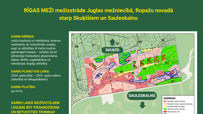 Meža izstrāde Skuķīši - Sauleskalns