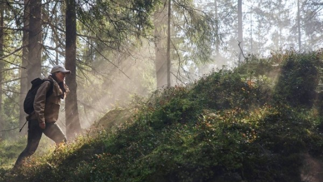 SEB Biznesa brikastis