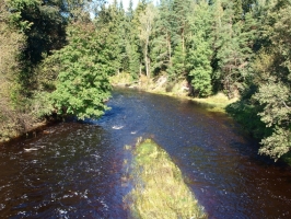 Sauleskalns 5