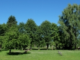Ropažu vidusskola