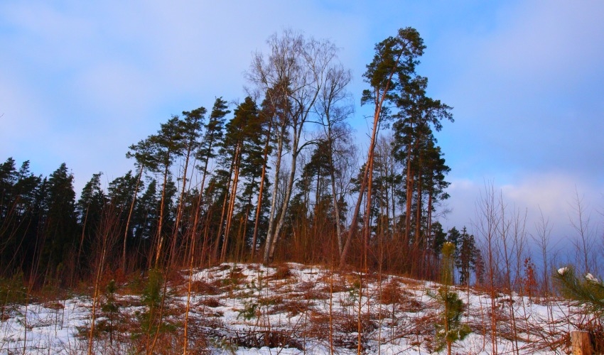 Leduskalni