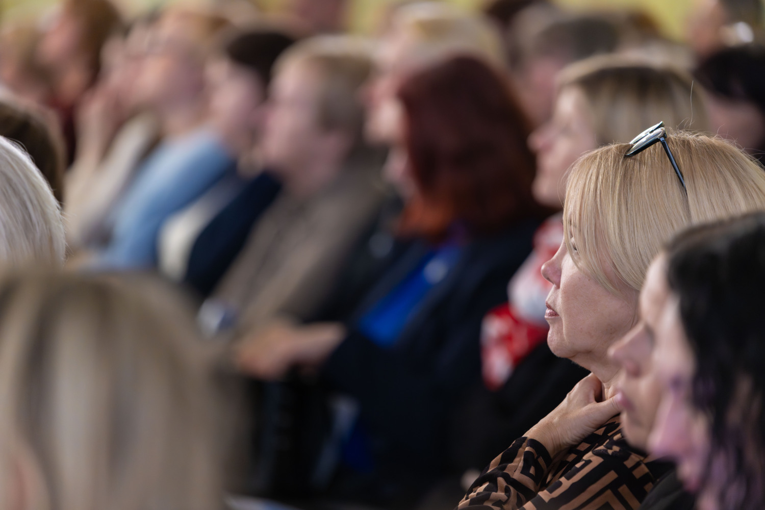 Ropažu novada pedagogu metodiskā diena zāle, klausītāji