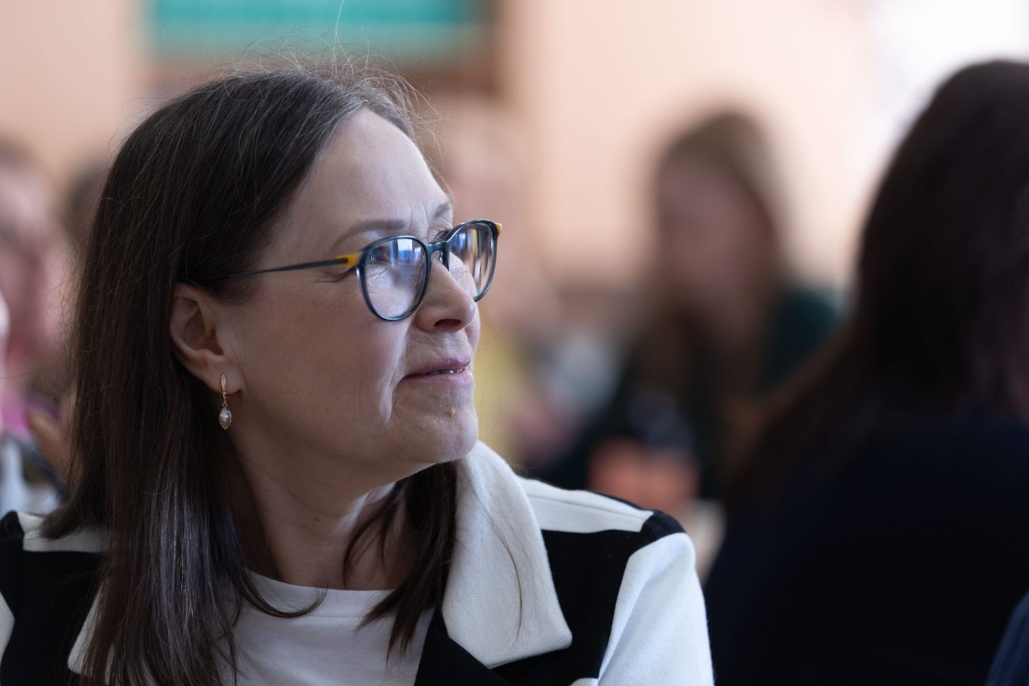 Ropažu novada pedagogu metodiskā diena, klase, klausītāji