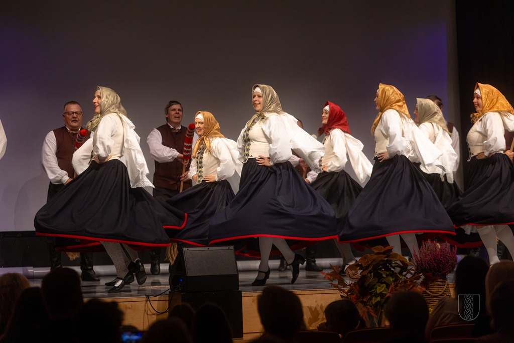 Vangažu pilsētas svētku koncerts