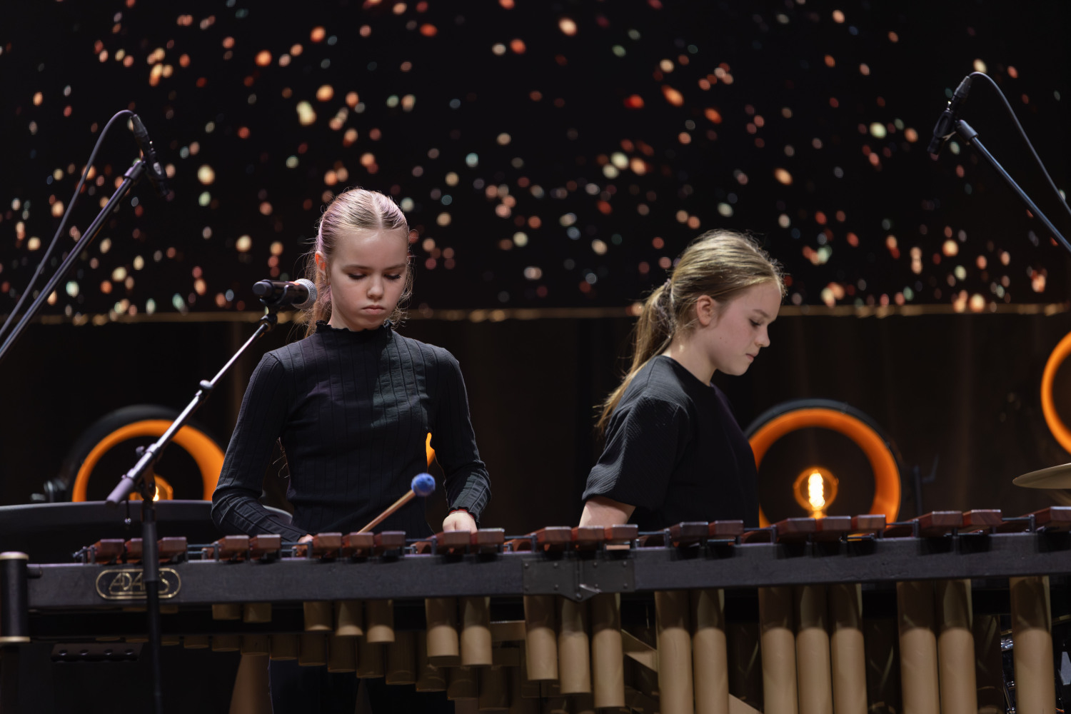 "Ropažu novada Uzņēmēju gada balvas 2025" apbalvošanas ceremonijas mūziķi