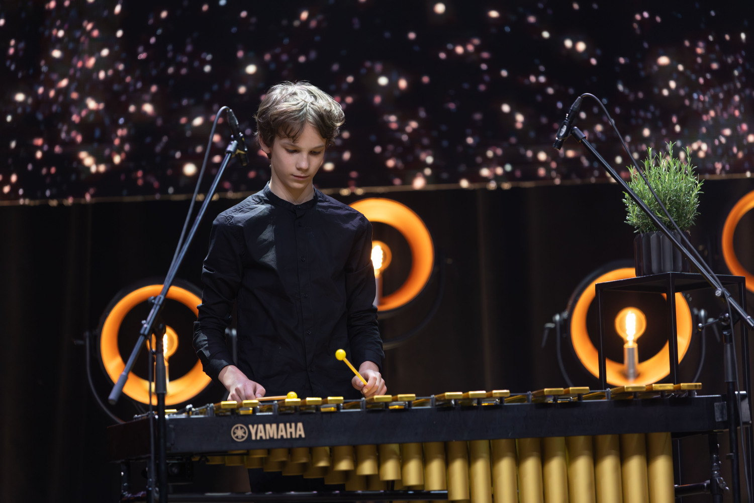 "Ropažu novada Uzņēmēju gada balvas 2025" apbalvošanas ceremonijas mūziķi