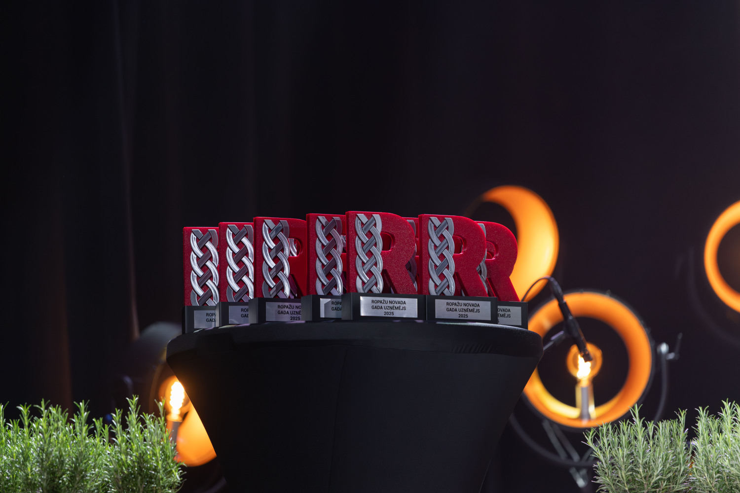 "Ropažu novada Uzņēmēju gada balvas 2025" 