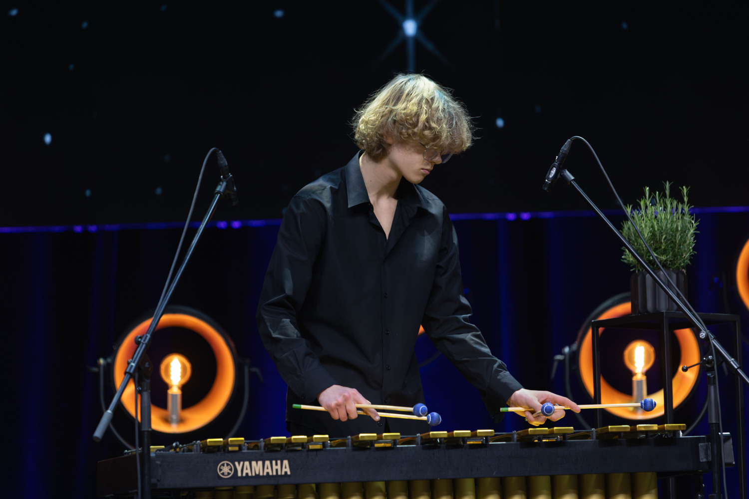 "Ropažu novada Uzņēmēju gada balvas 2025" apbalvošanas ceremonija, augi