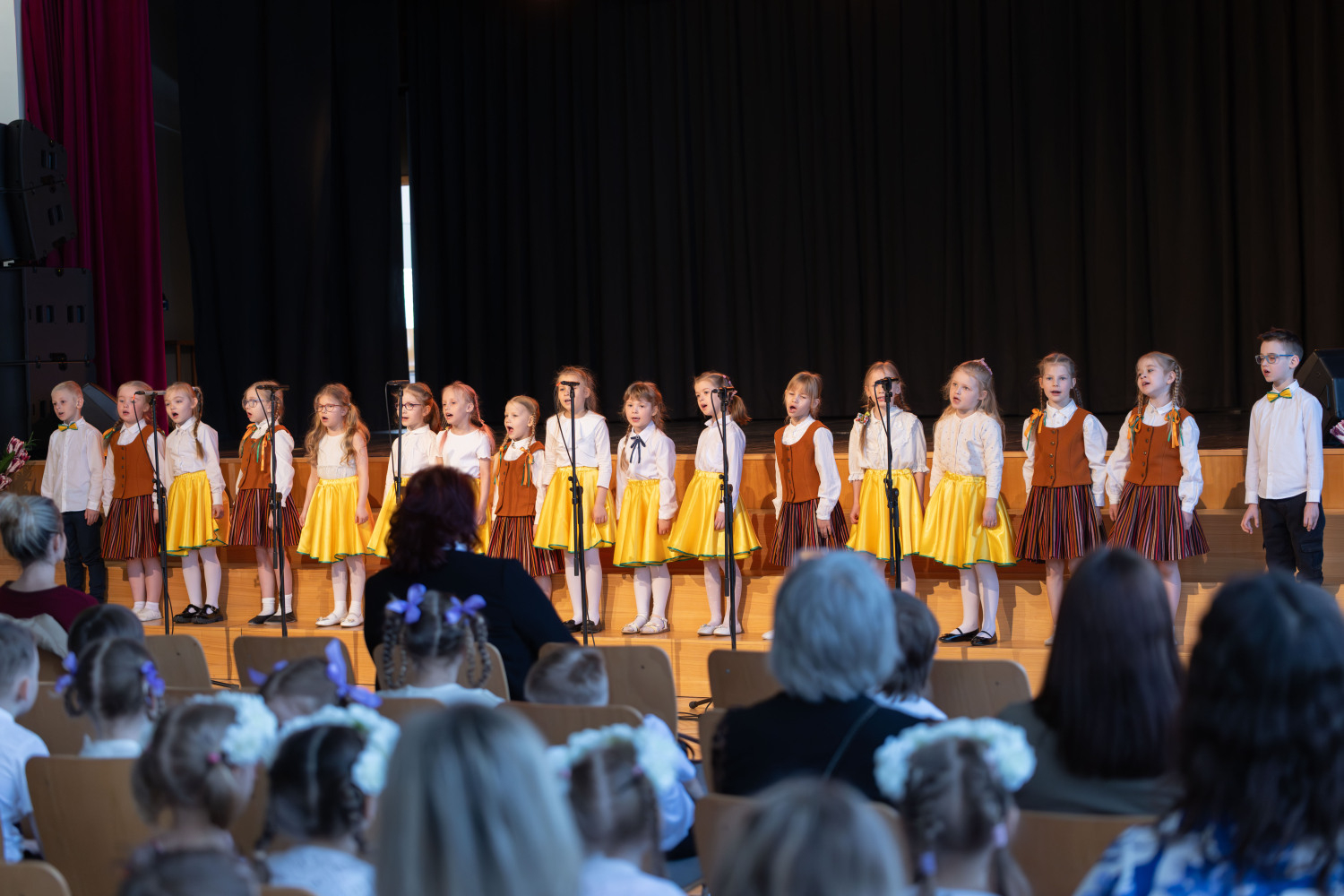 Ropažu novada pirmsskolu sadraudzības koncerts "Lai skan"