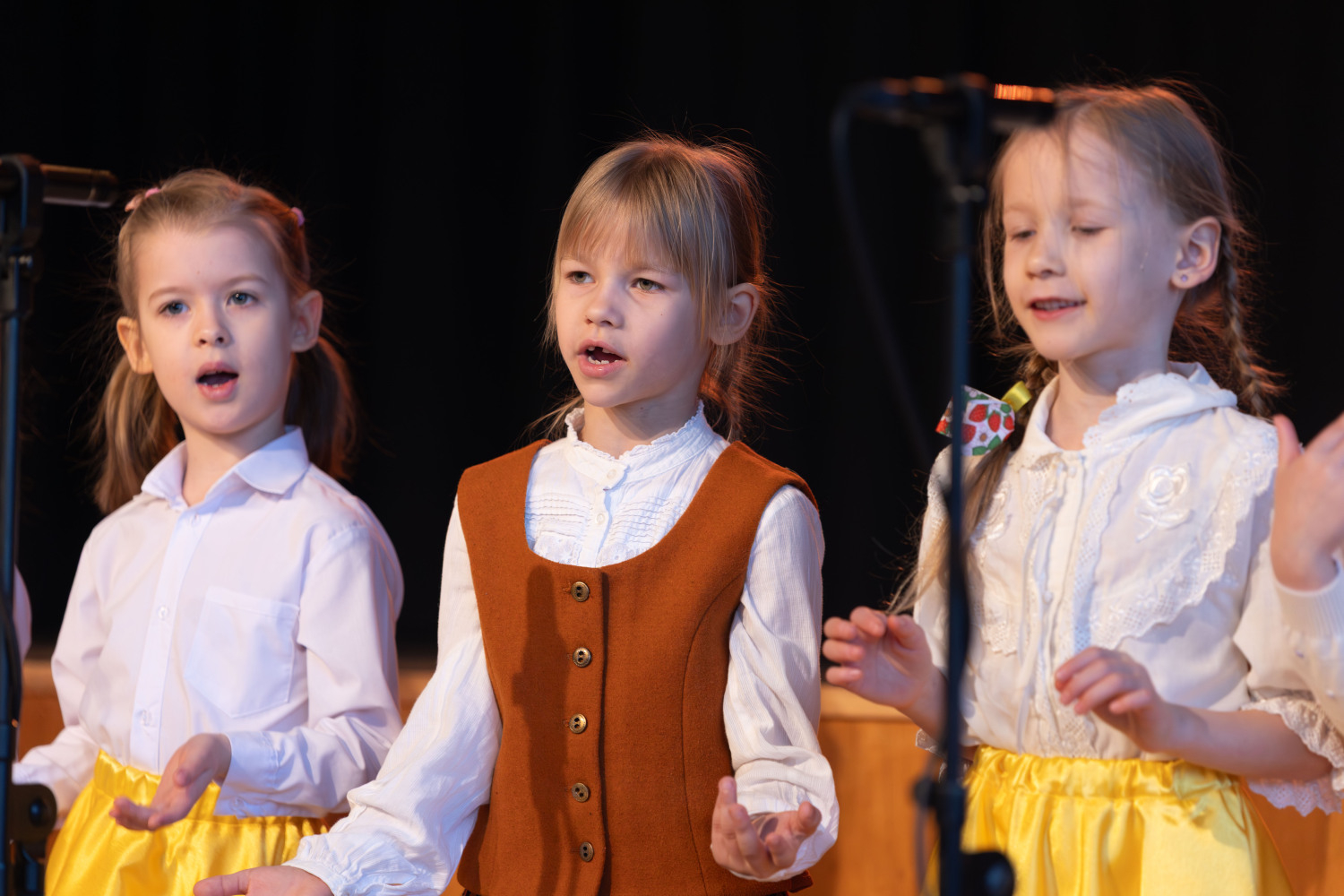 Ropažu novada pirmsskolu sadraudzības koncerts "Lai skan"