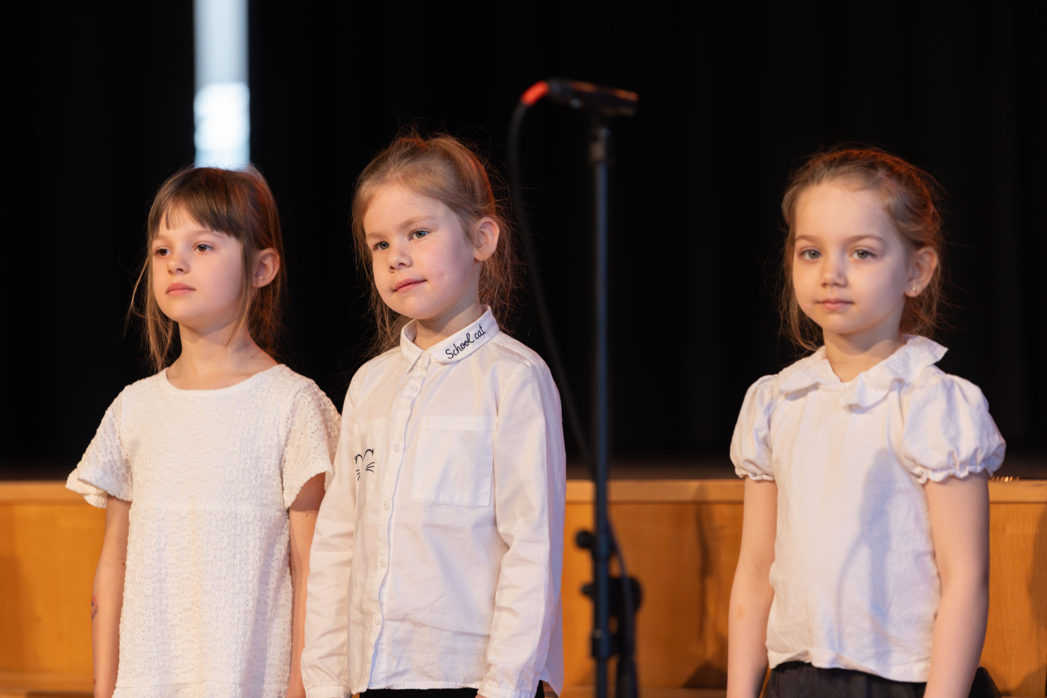 Ropažu novada pirmsskolu sadraudzības koncerts "Lai skan"