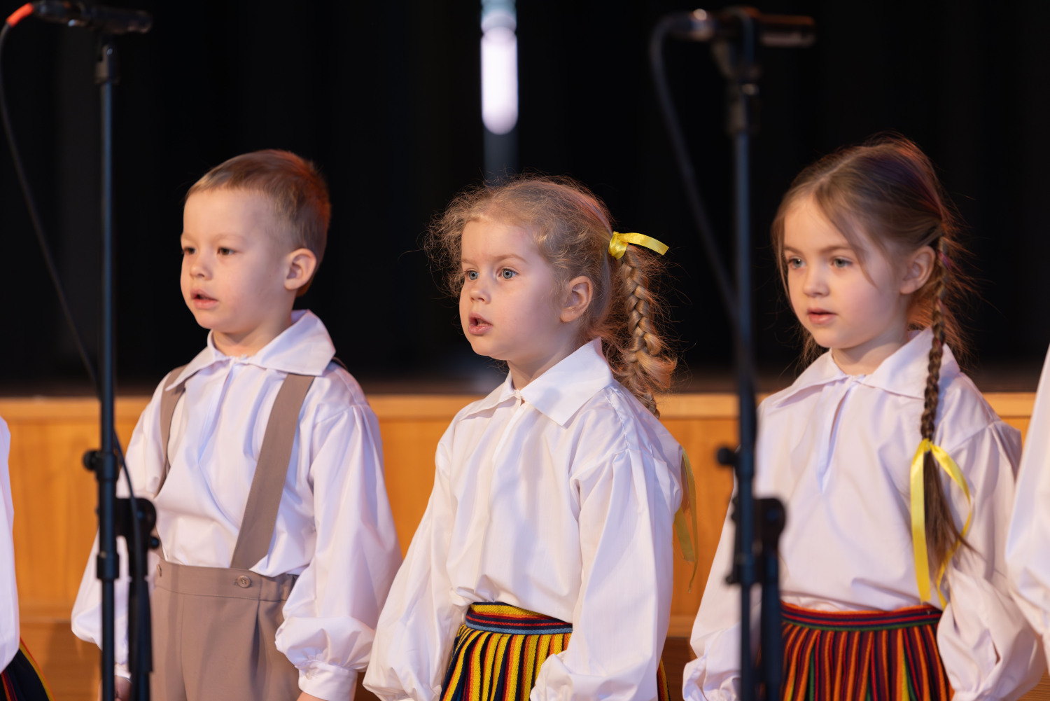 Ropažu novada pirmsskolu sadraudzības koncerts "Lai skan"