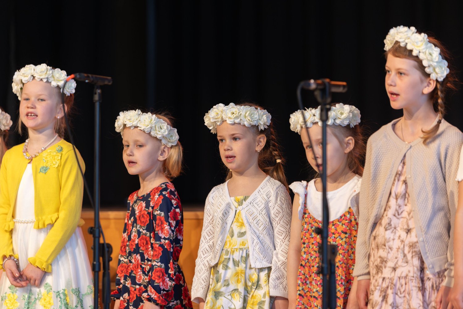 Ropažu novada pirmsskolu sadraudzības koncerts "Lai skan"