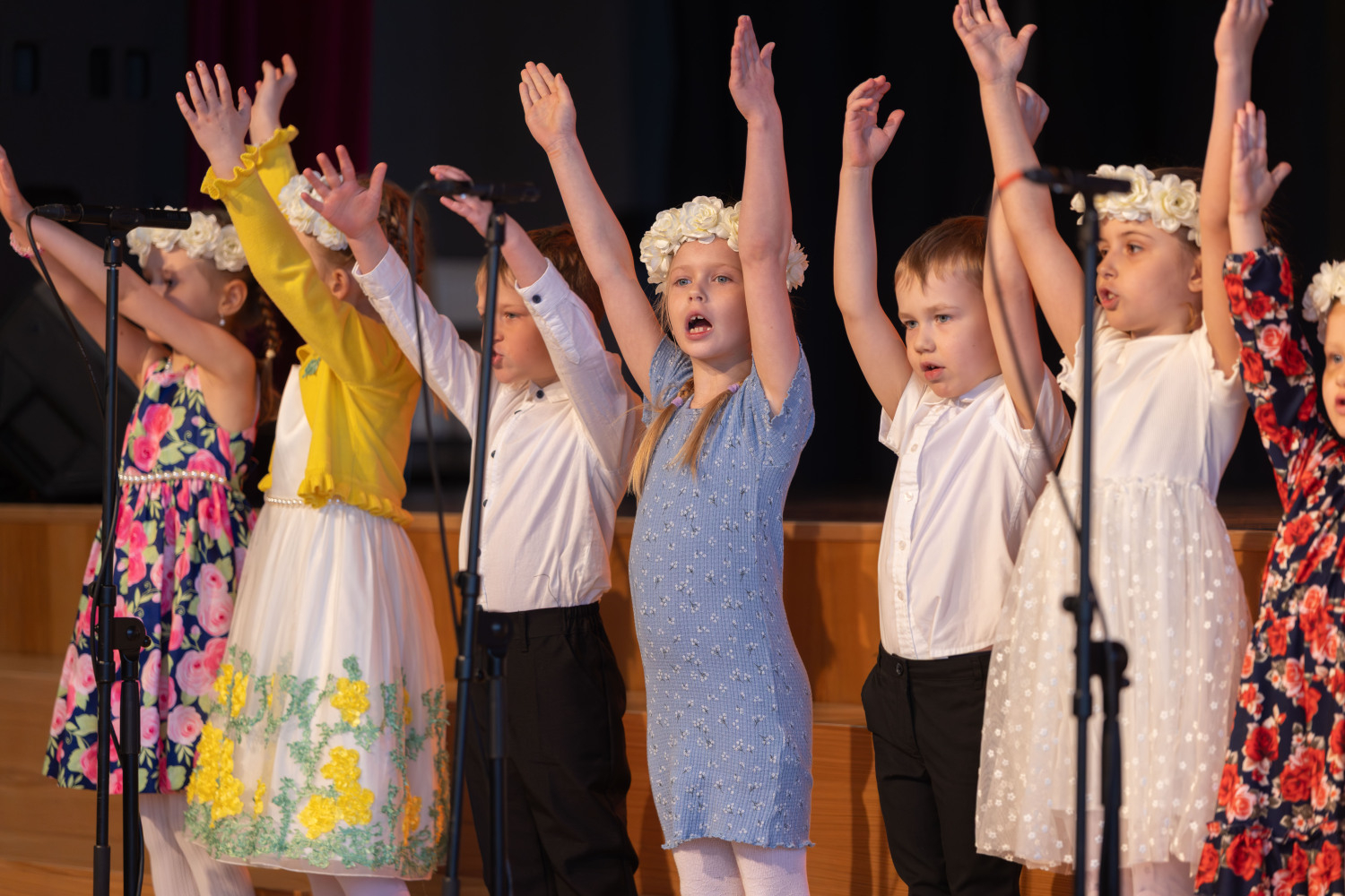 Ropažu novada pirmsskolu sadraudzības koncerts "Lai skan"