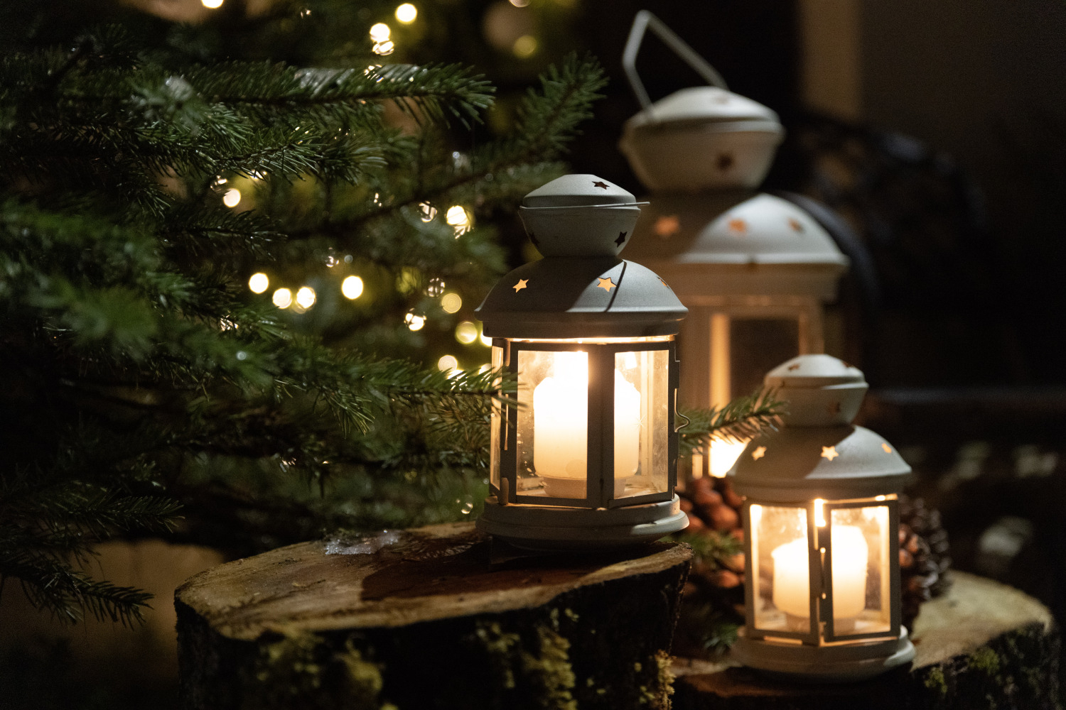 Gaismas dārzs Ropažu baznīcā