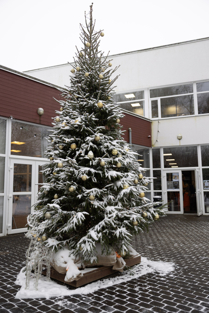 Ziemassvētku tirdziņš un sporta aktivitātes Ropažos