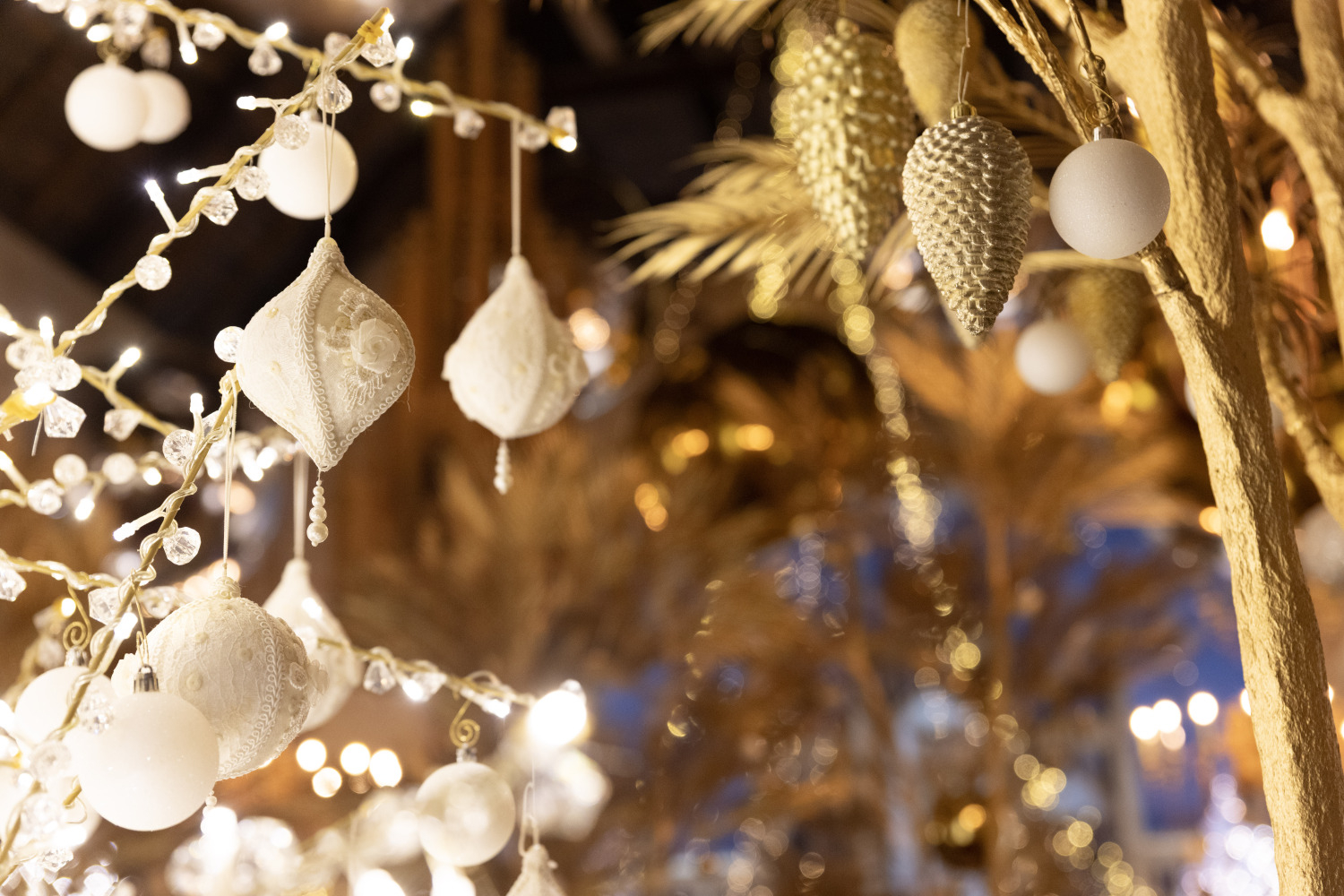 Gaismas dārzs Ropažu baznīcā