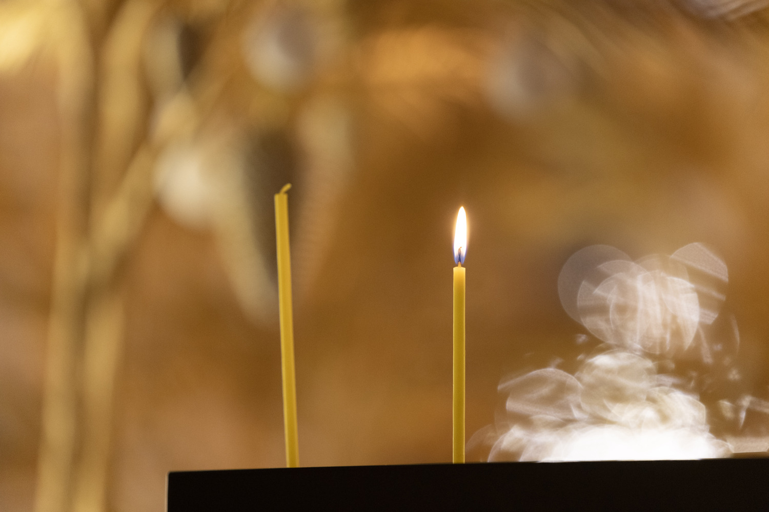 Gaismas dārzs Ropažu baznīcā