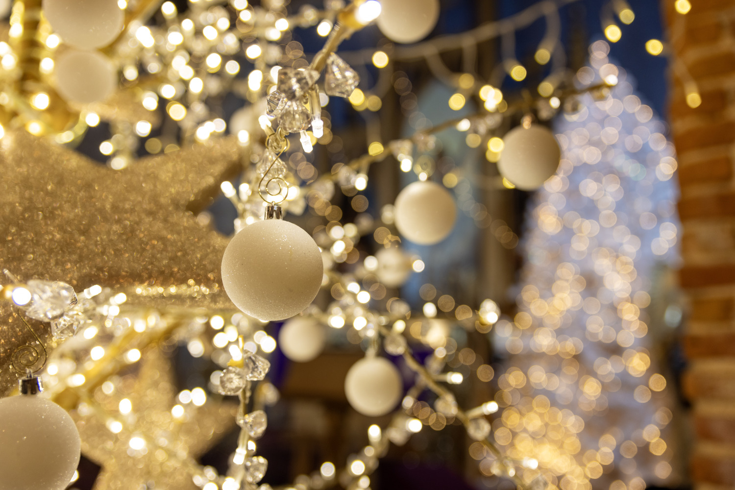 Gaismas dārzs Ropažu baznīcā