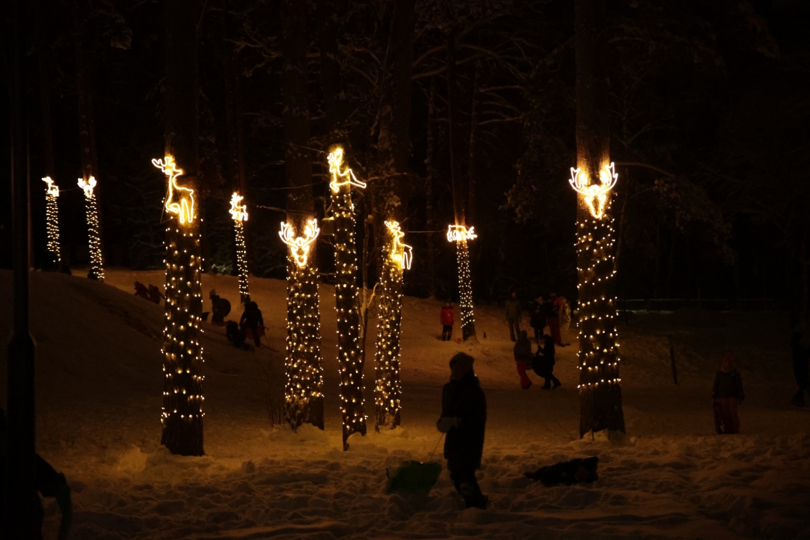 Svētku egles iedegšana Upesciemā pie Berģu Mūzikas un mākslas pamatskolas, 02.12.2023.