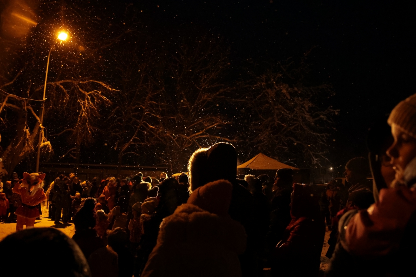 Ziemassvētku eglītes iedegšana Ropažos, 03.12.2023.