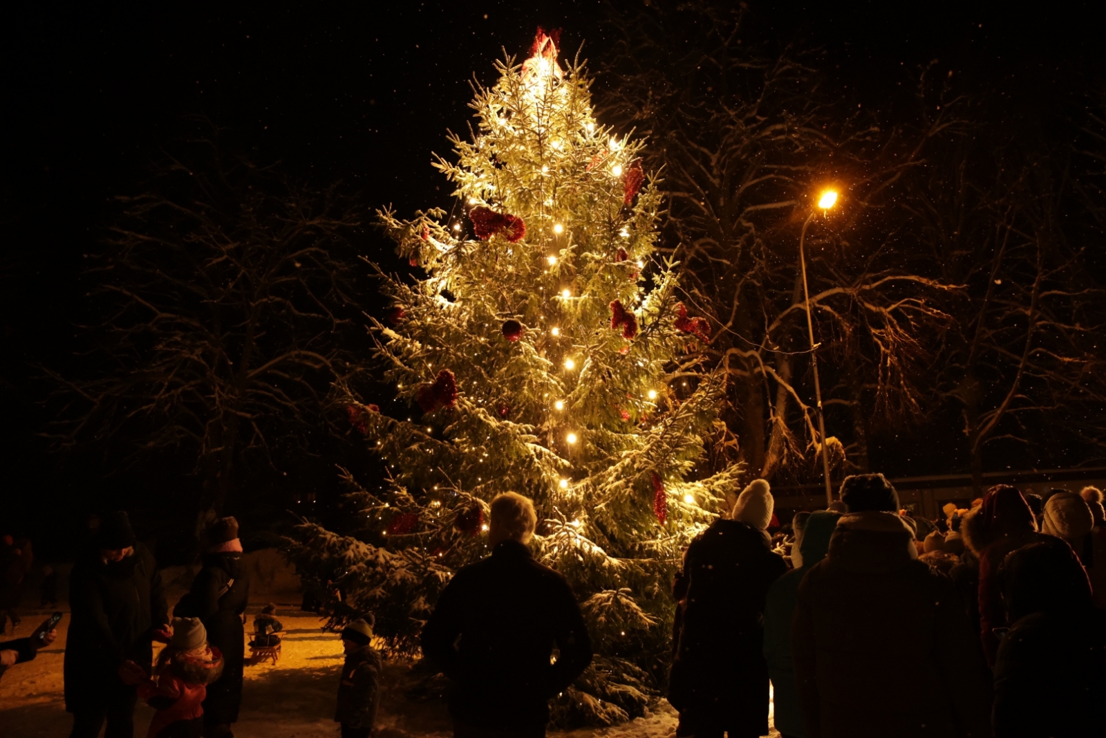 Ziemassvētku eglītes iedegšana Ropažos, 03.12.2023.