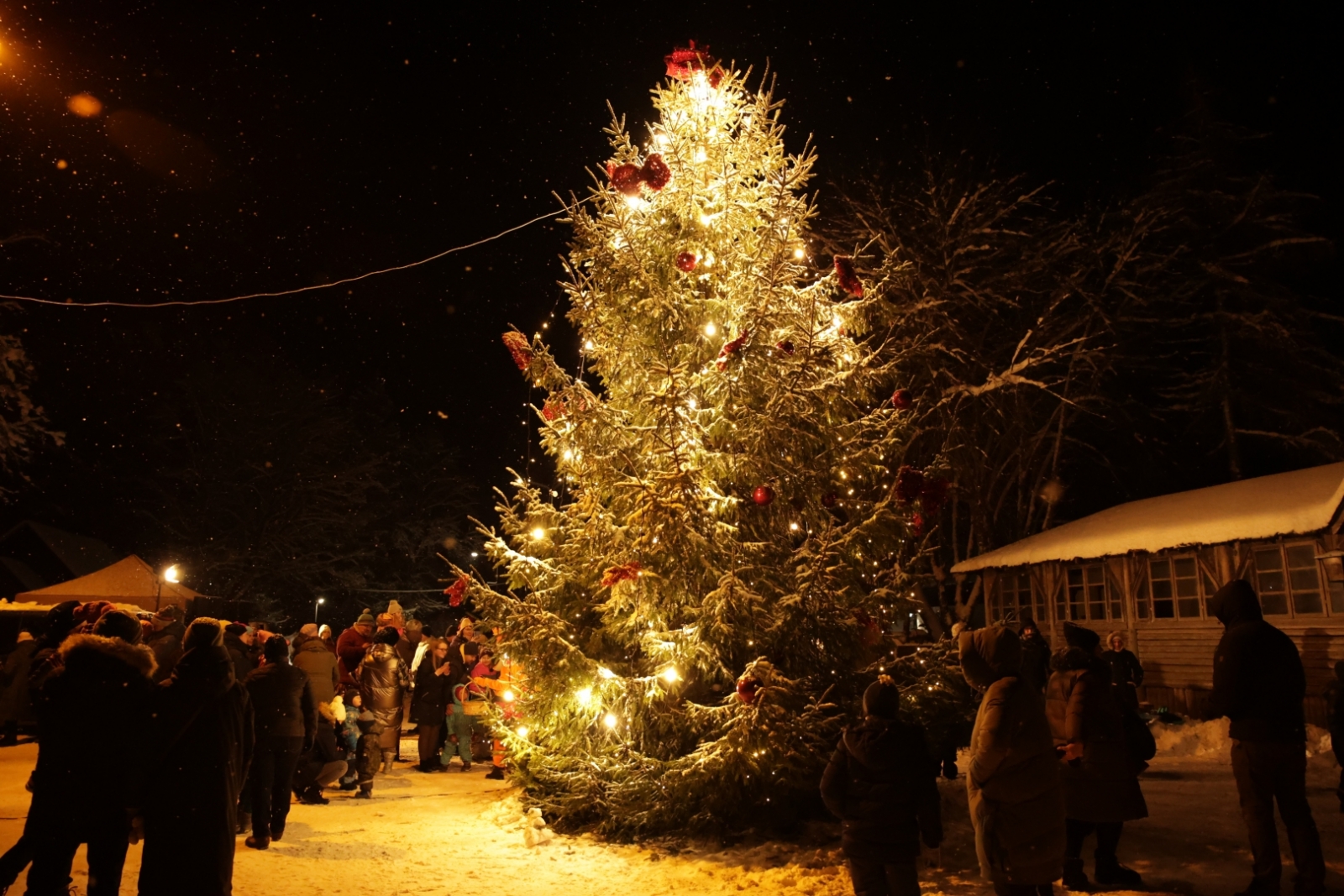 Ziemassvētku eglītes iedegšana Ropažos, 03.12.2023.