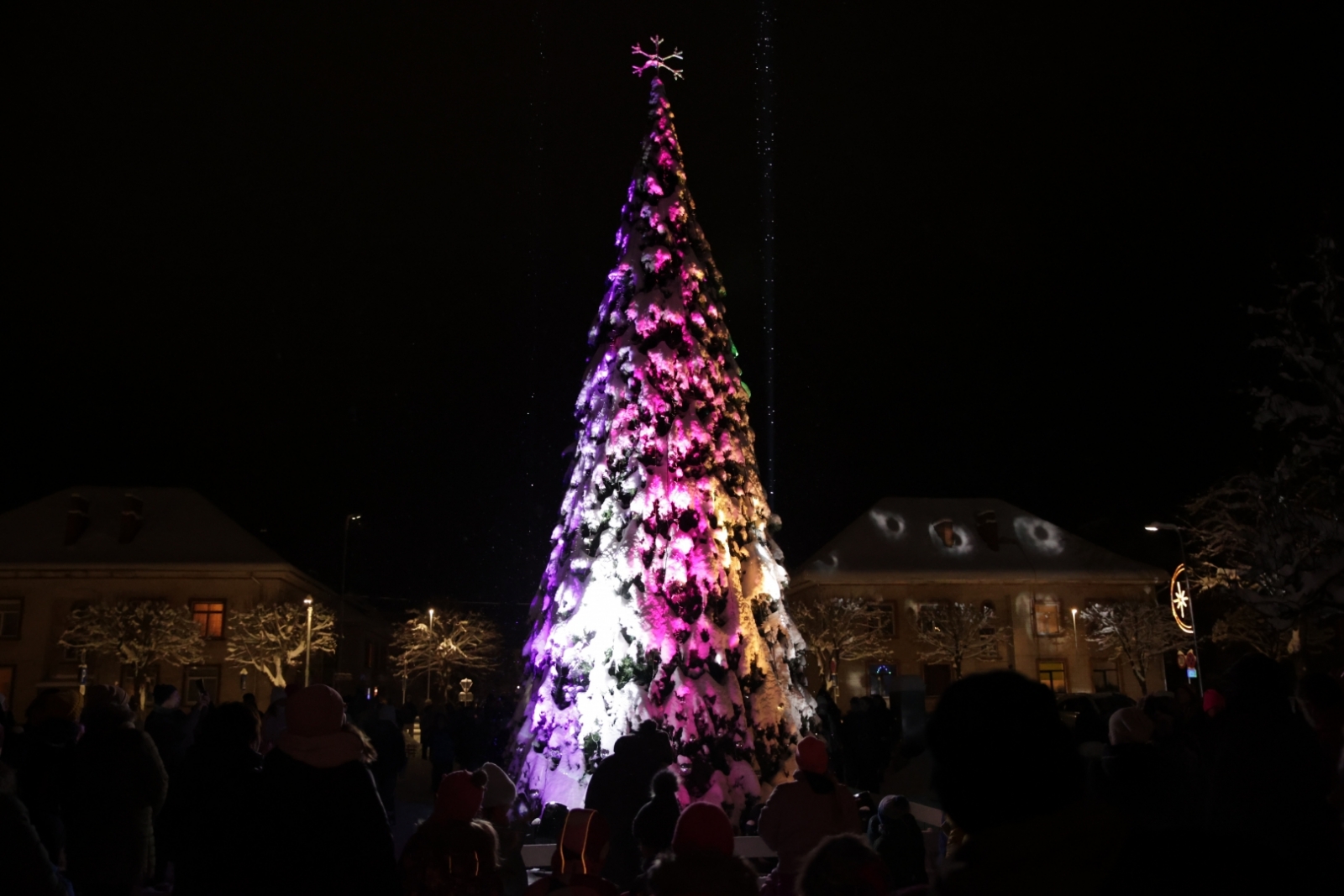 Gaismiņu iedegšana Vangažu pilsētas Ziemassvētku eglītē, 04.12.2023.